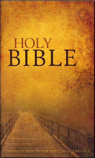 The Holy Bible (NIV)